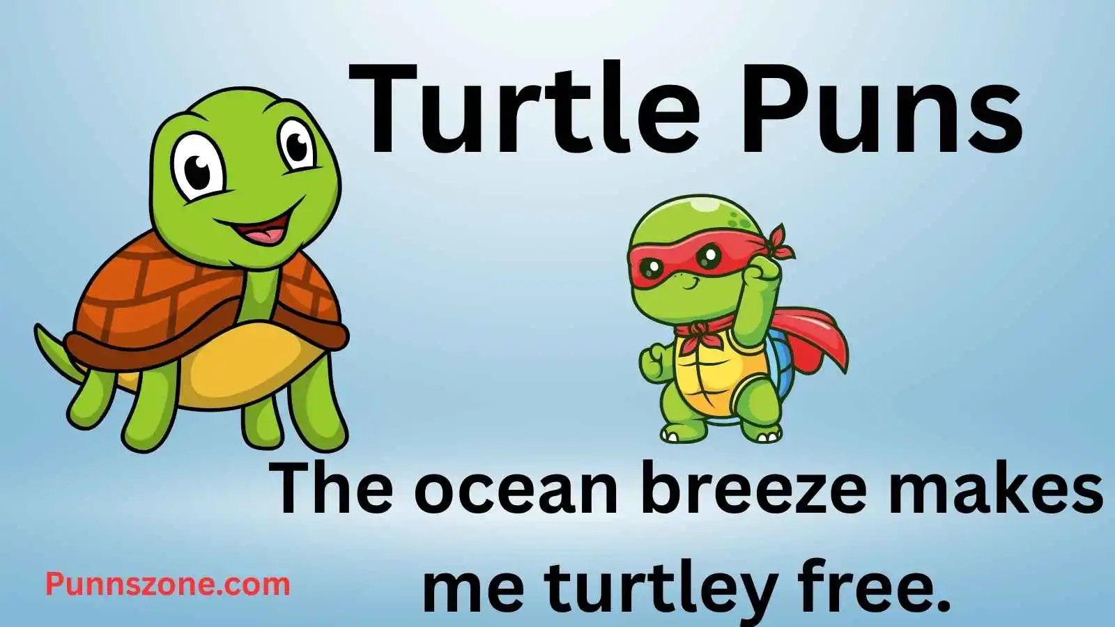 Turtle Puns