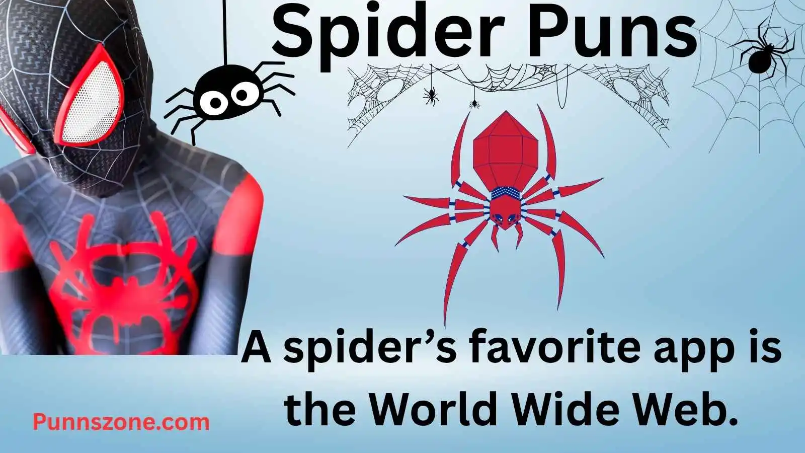 Spider Puns
