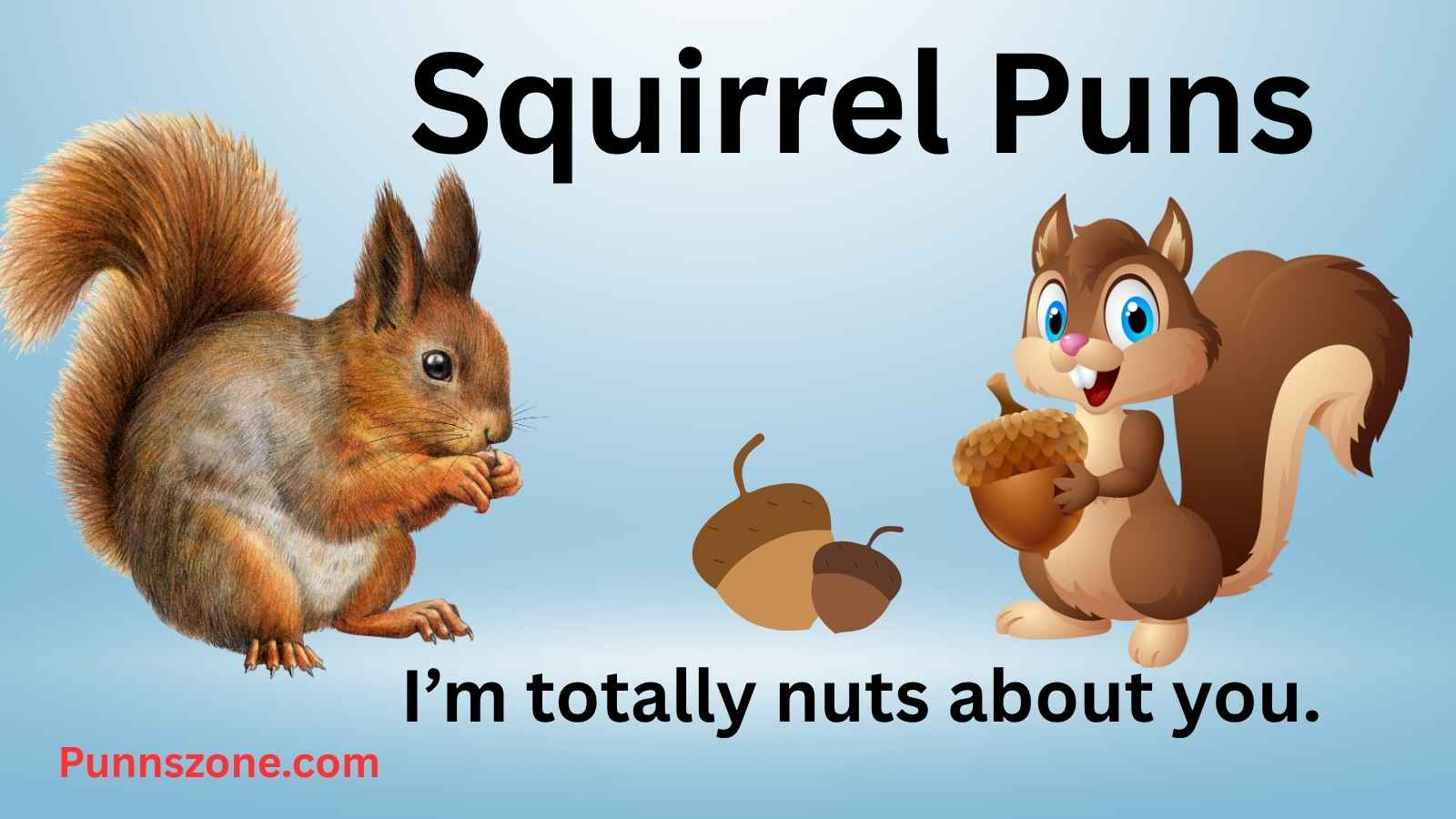 Squirrel Puns