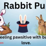 Rabbit Puns