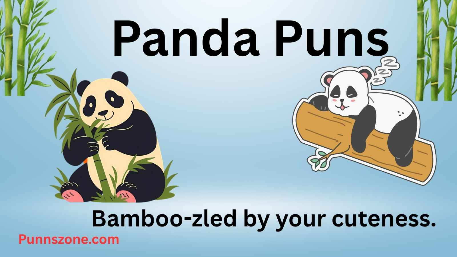 Panda Puns