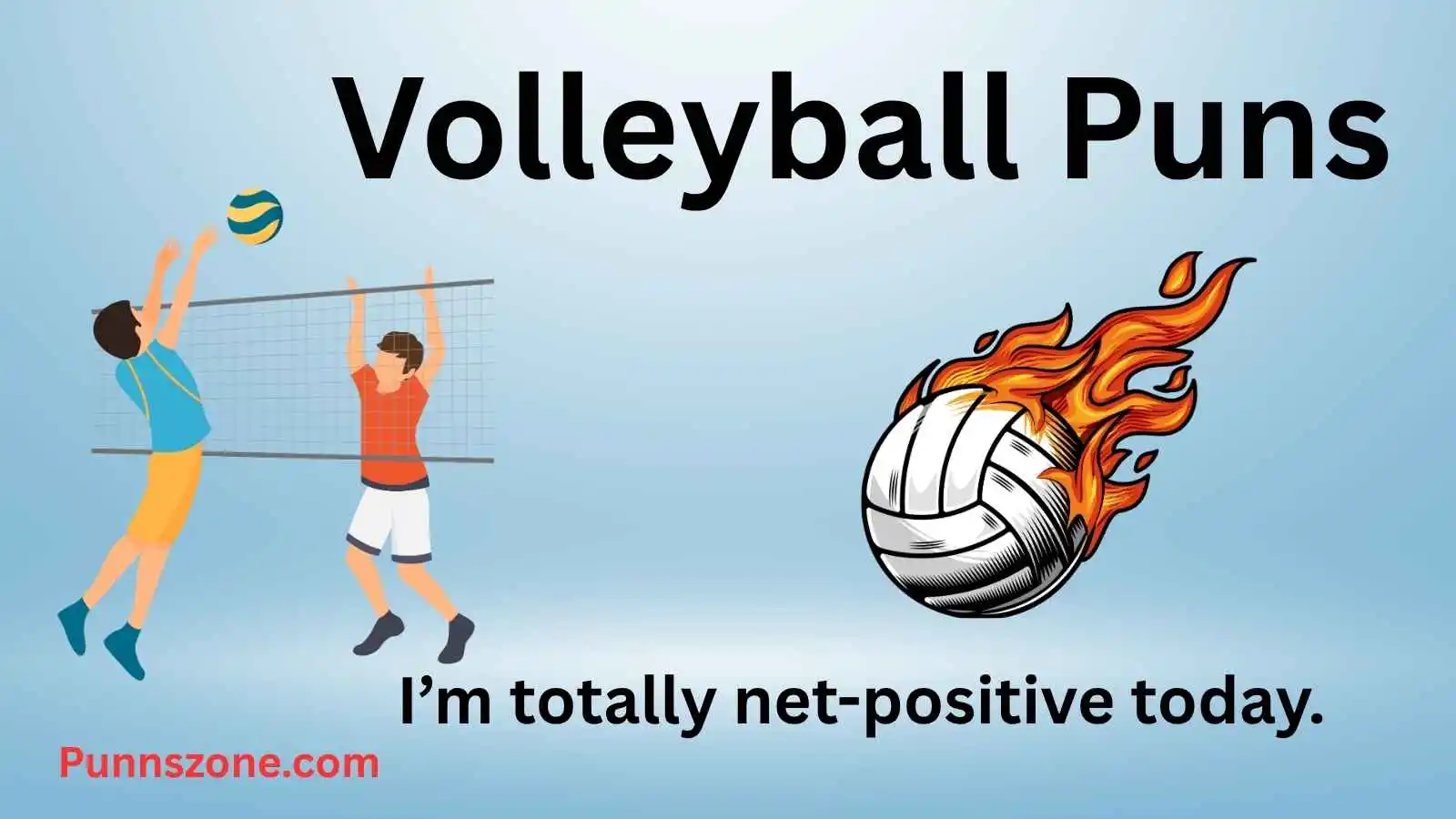 Volleyball Puns
