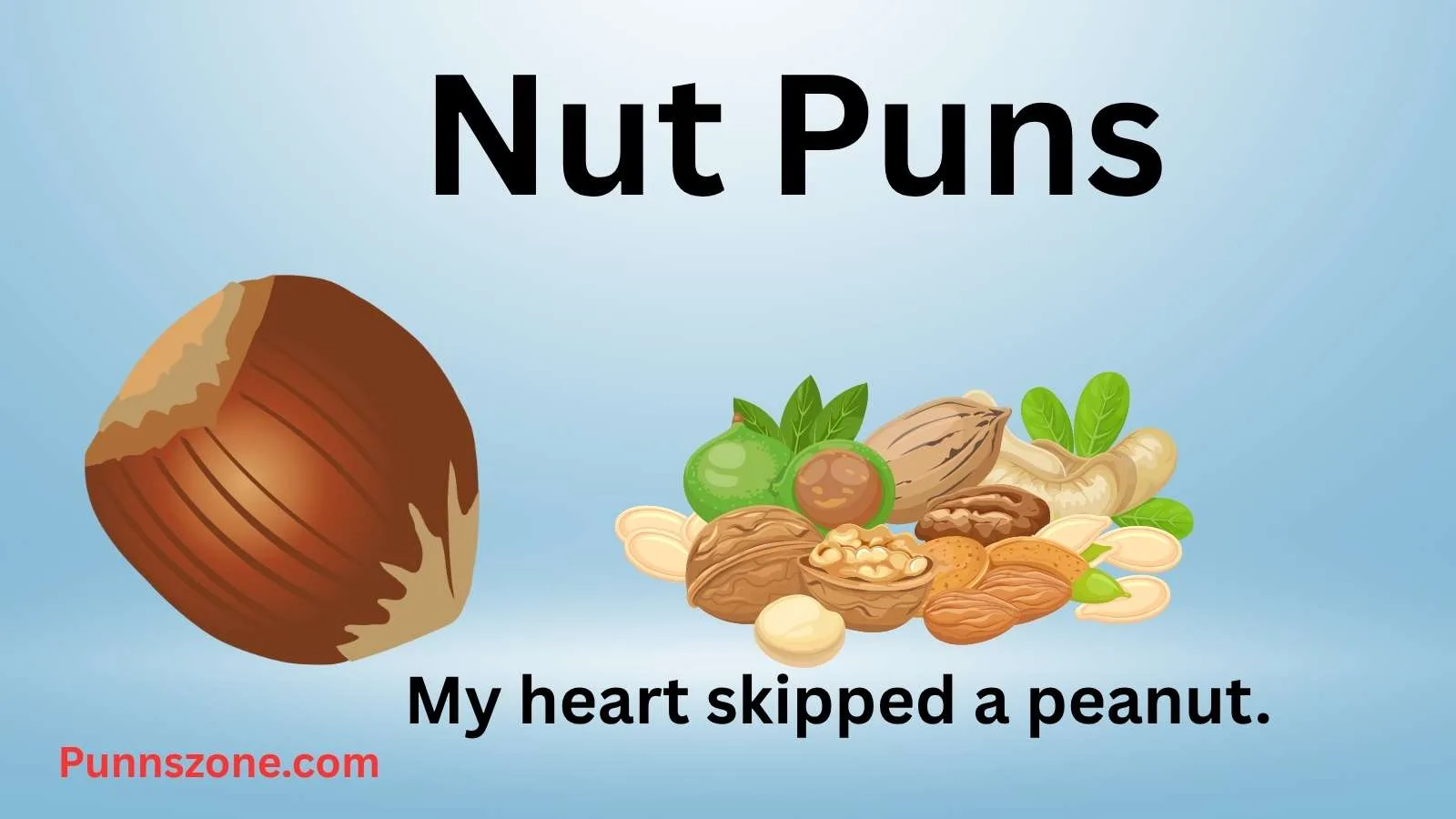 Nut Puns