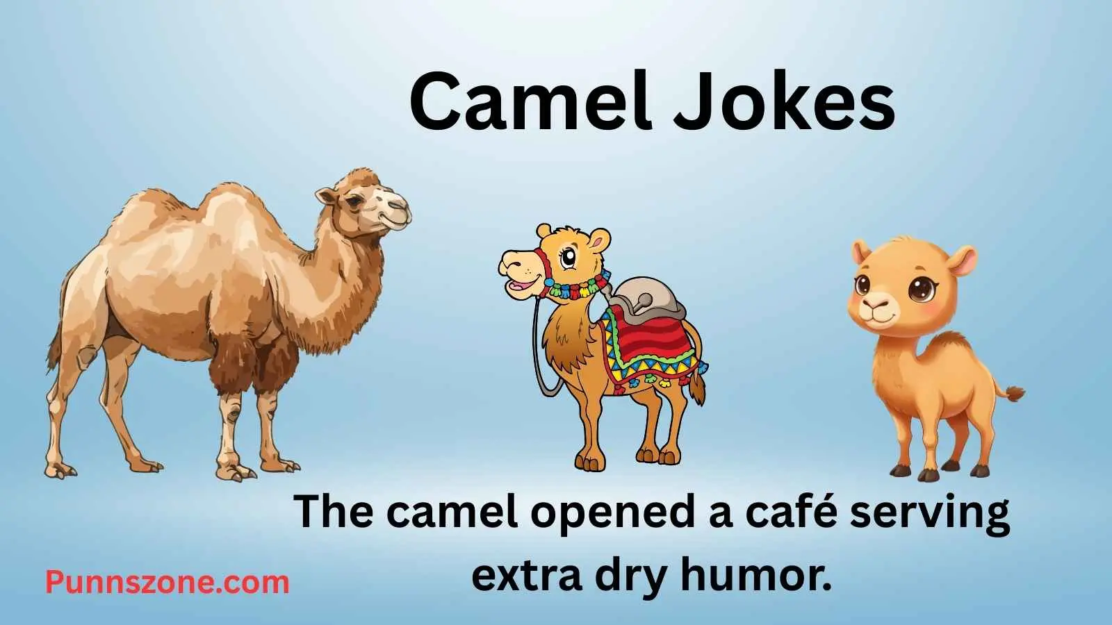 Camel Jokes