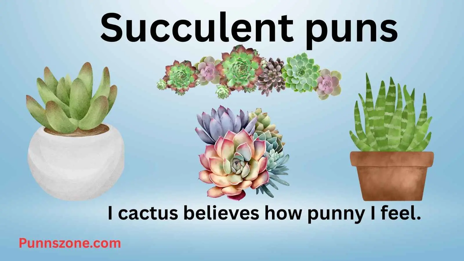 Succulent puns