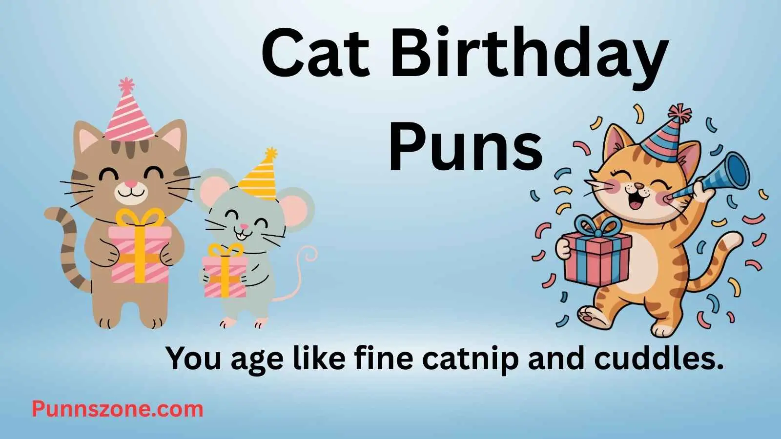 Cat Birthday Puns