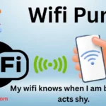 Wifi puns