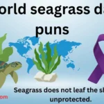 World Seagrass Day Puns