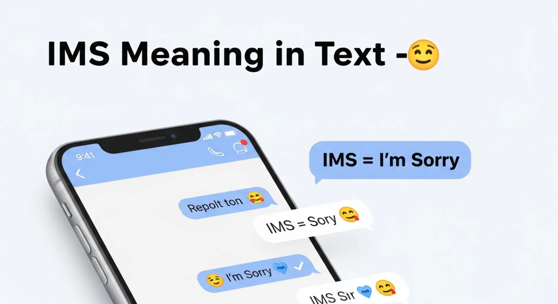 What Does IMS Mean in Text?