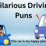 Hilarious Driving Puns