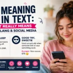 GTS Meaning in Text