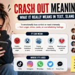 Crash Out Meaning Slang