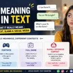 FN Meaning in Text