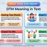 DTM Meaning