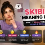 Skibidi Meaning in Text