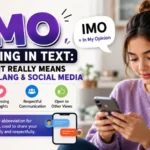 IMO Meaning in Text