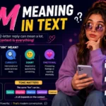 HM Meaning in Text