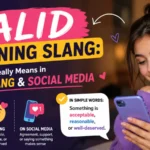 Valid Meaning Slang