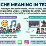 Niche Meaning in Text